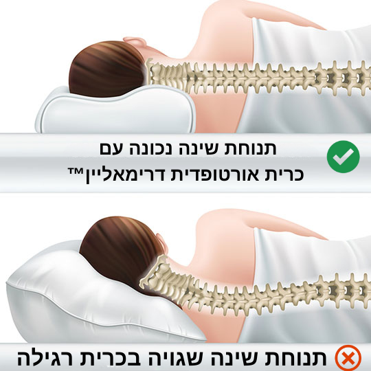 כרית אורטופדית דרימאליין™ | כרית זיכרון ארגונומית