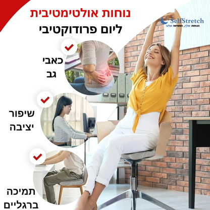 ErgoFlex Pro™  - כרית אורטופדית ארגונומית לישיבה