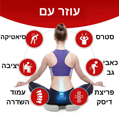 ErgoFlex Pro™  - כרית אורטופדית ארגונומית לישיבה